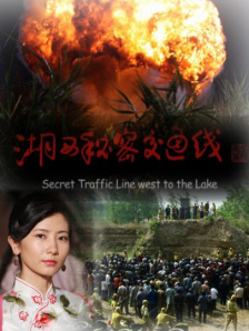 国内揄拍国内精品少妇国语